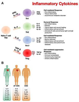 Genomic and Proteomic Study of the <mark class="highlighted">Inflammatory Pathway</mark> in Patients With Atrial Fibrillation and Cardiometabolic Syndrome